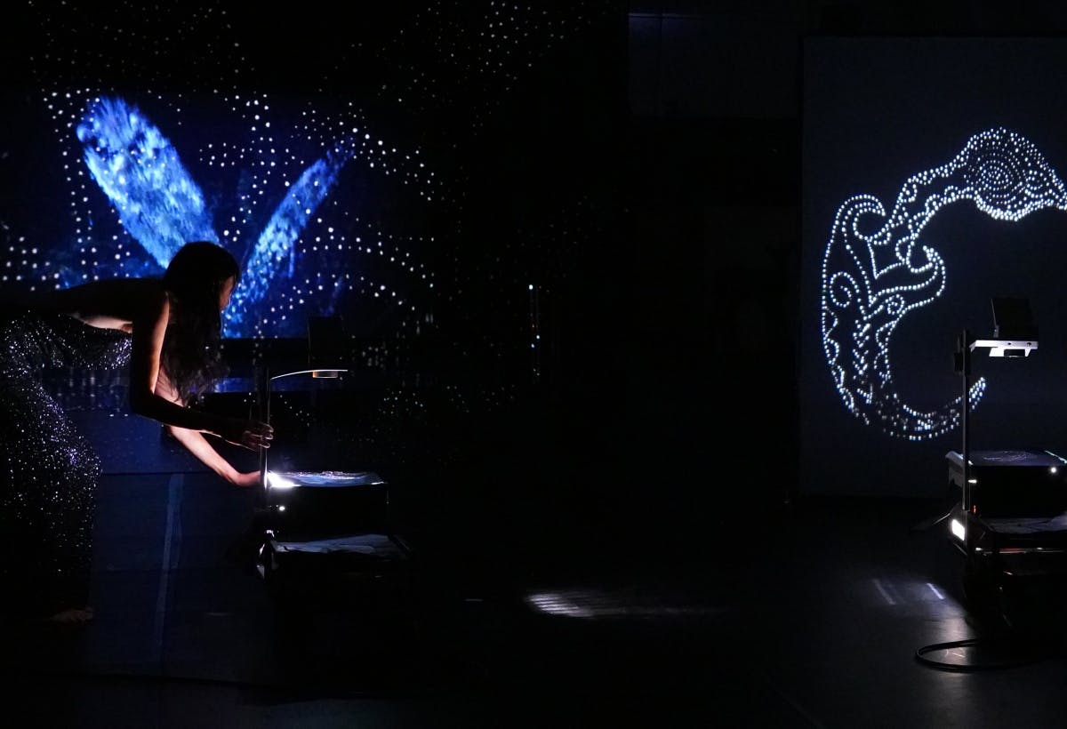 Projectie van performance