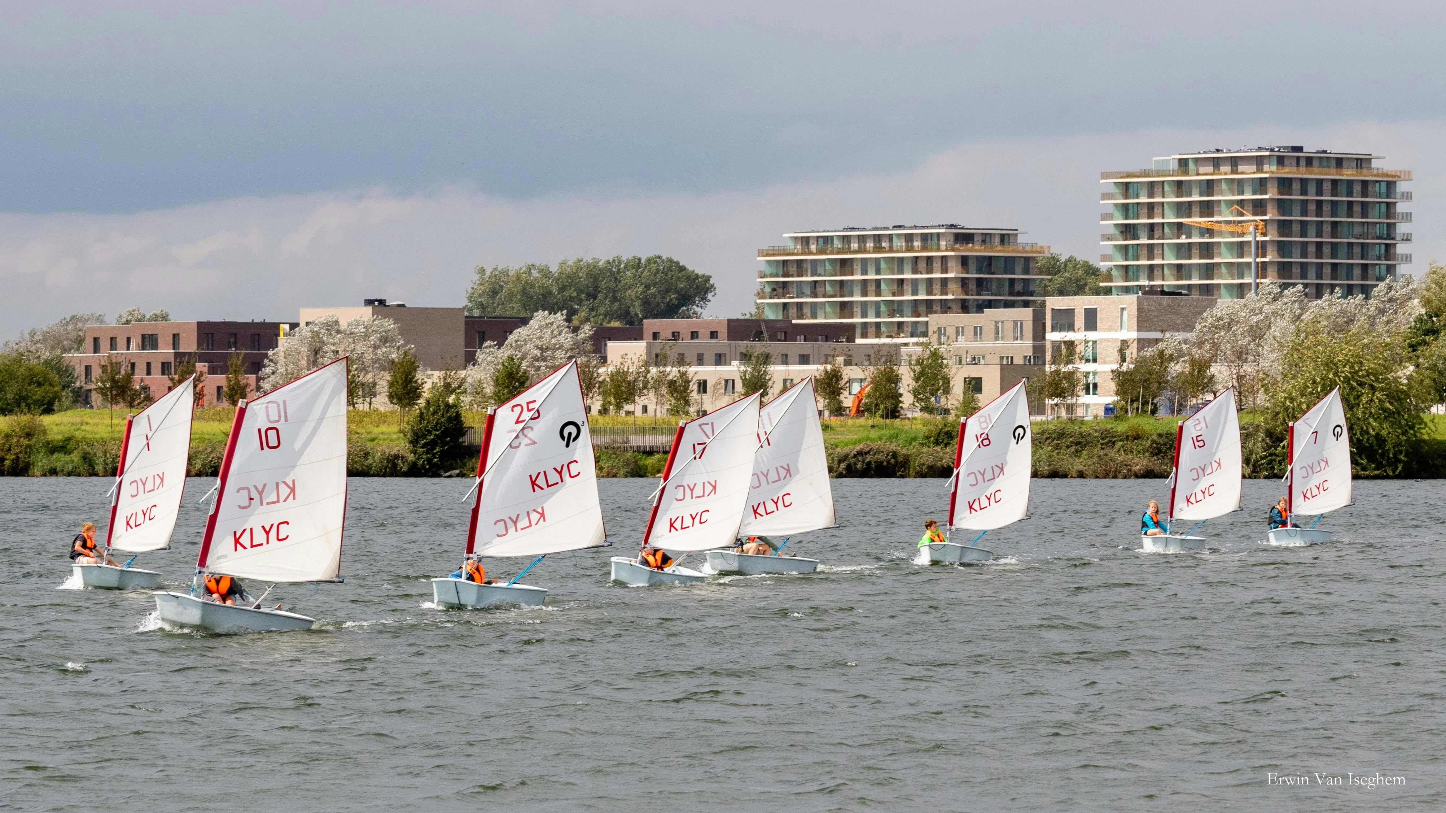 Zeilen in optimist