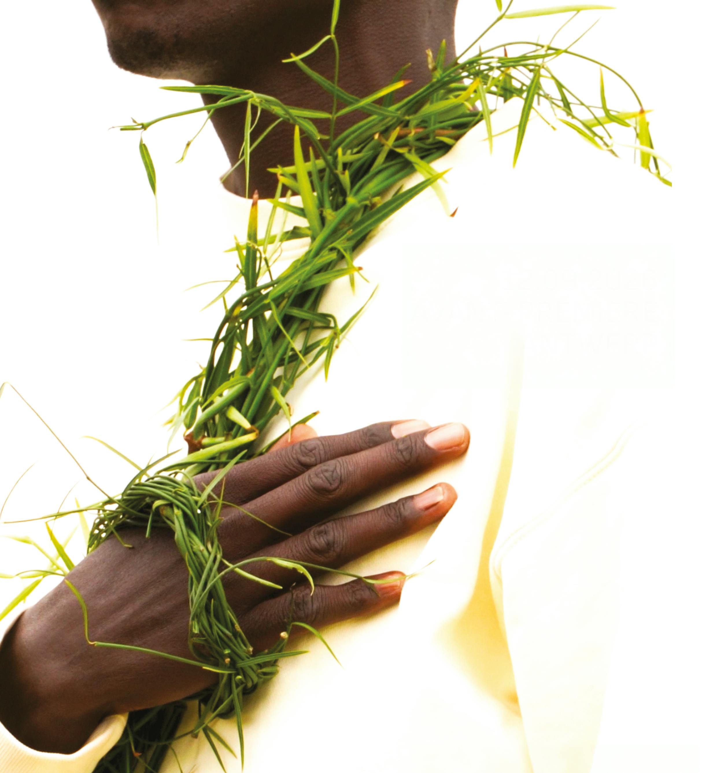 ‘Our Forest, Our Champions