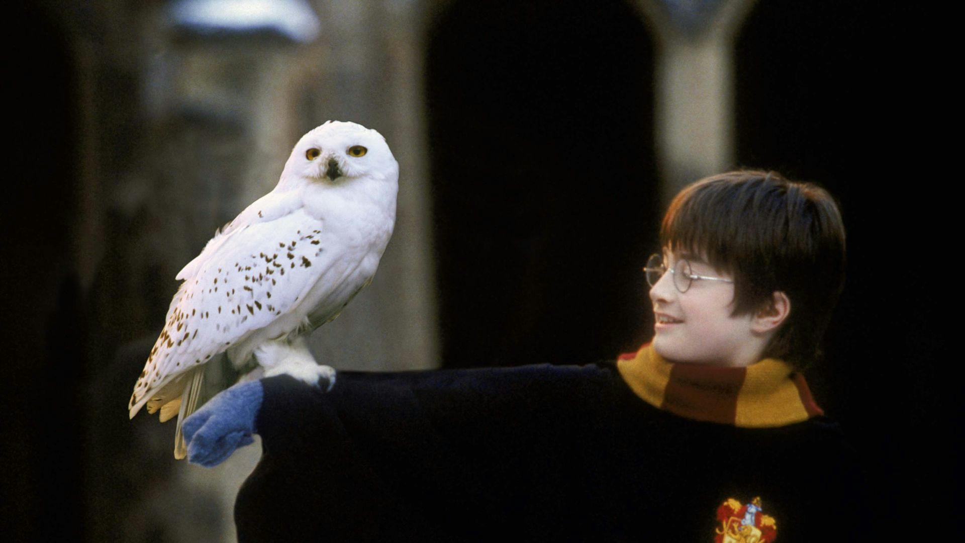 Harry Potter and the Philosopher's Stone™ in concert