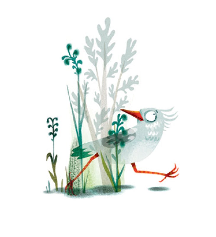 De geluksvogels