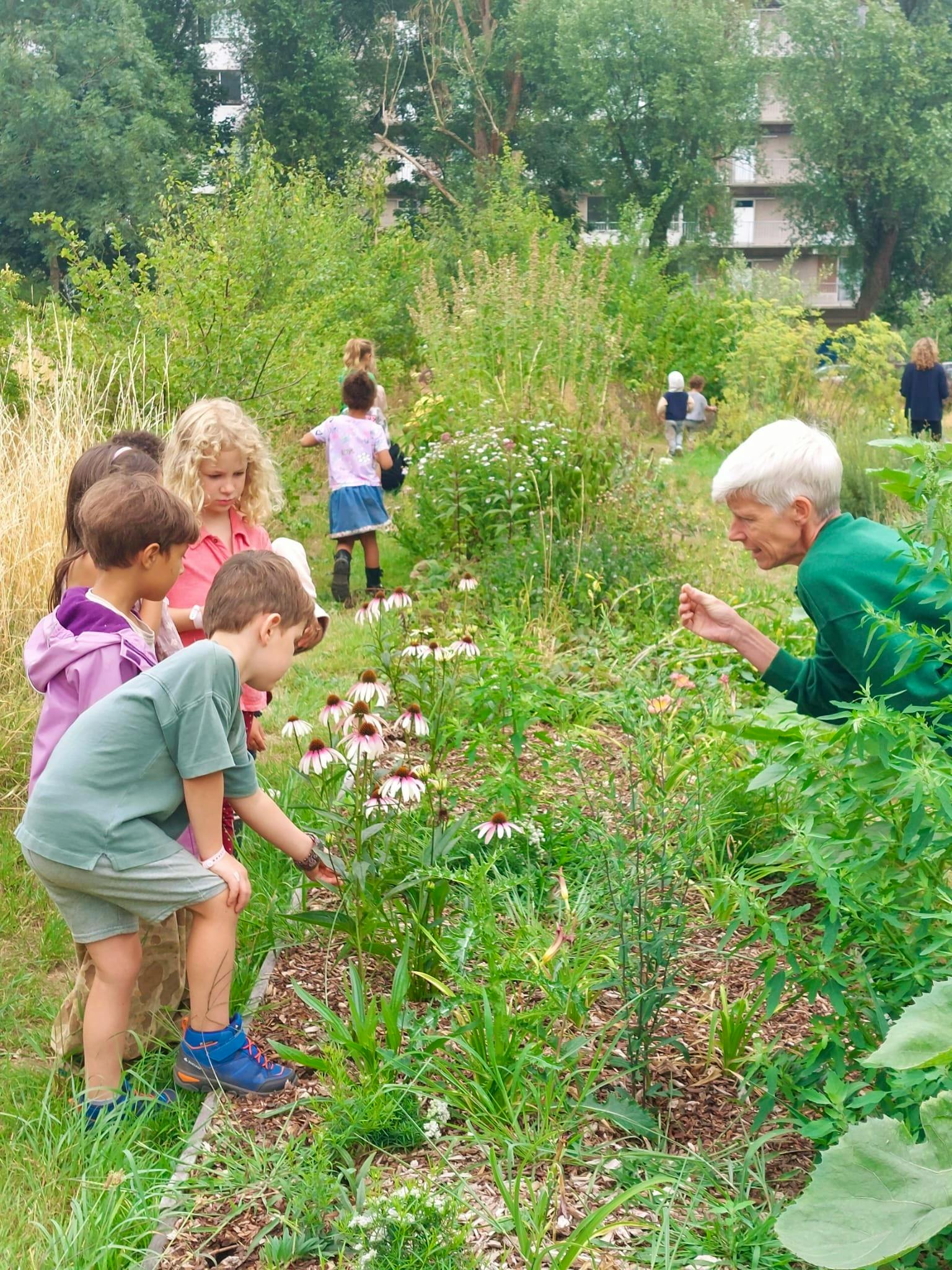 Natuureducatie
