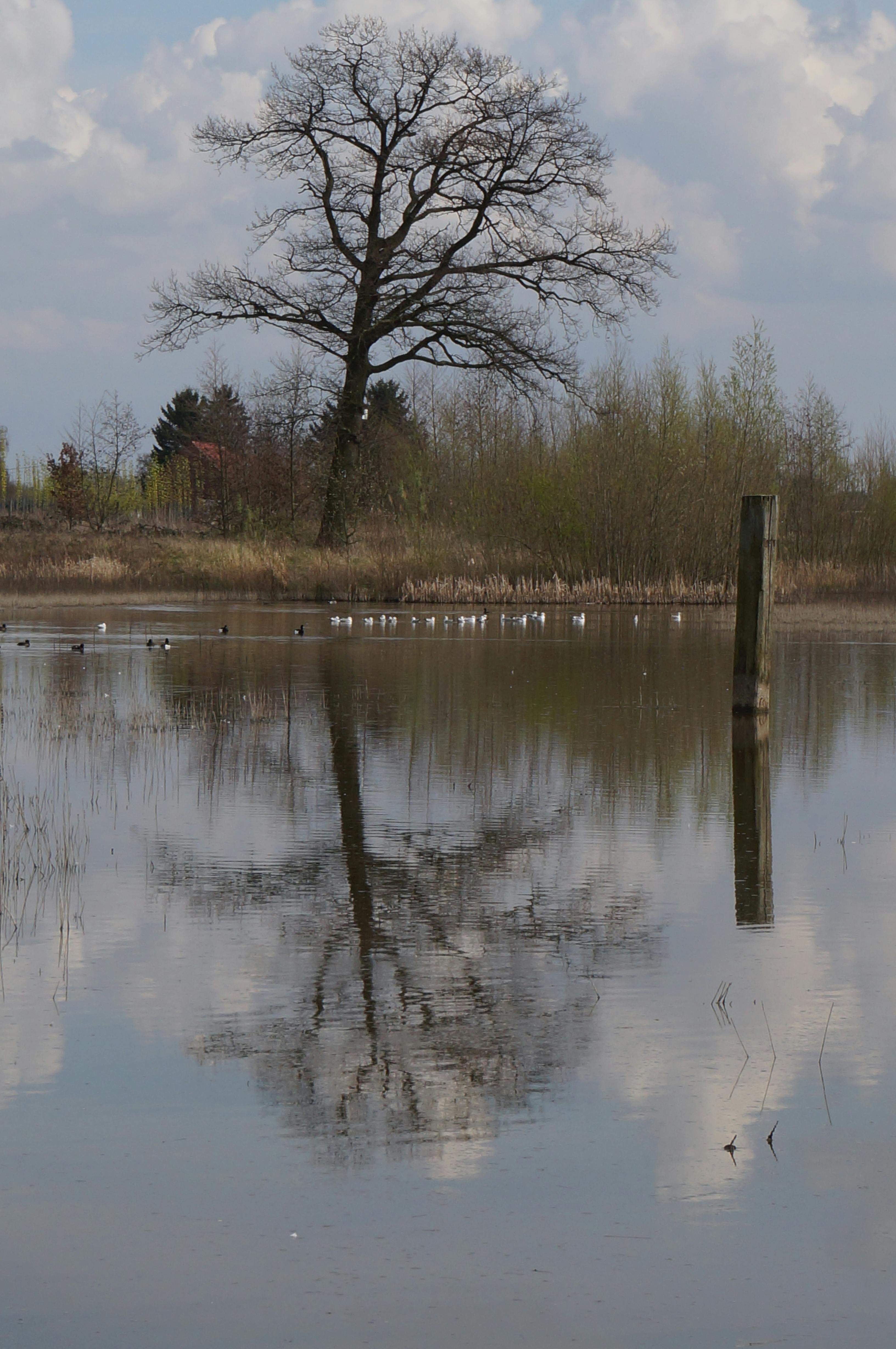 Overstromingsgebied