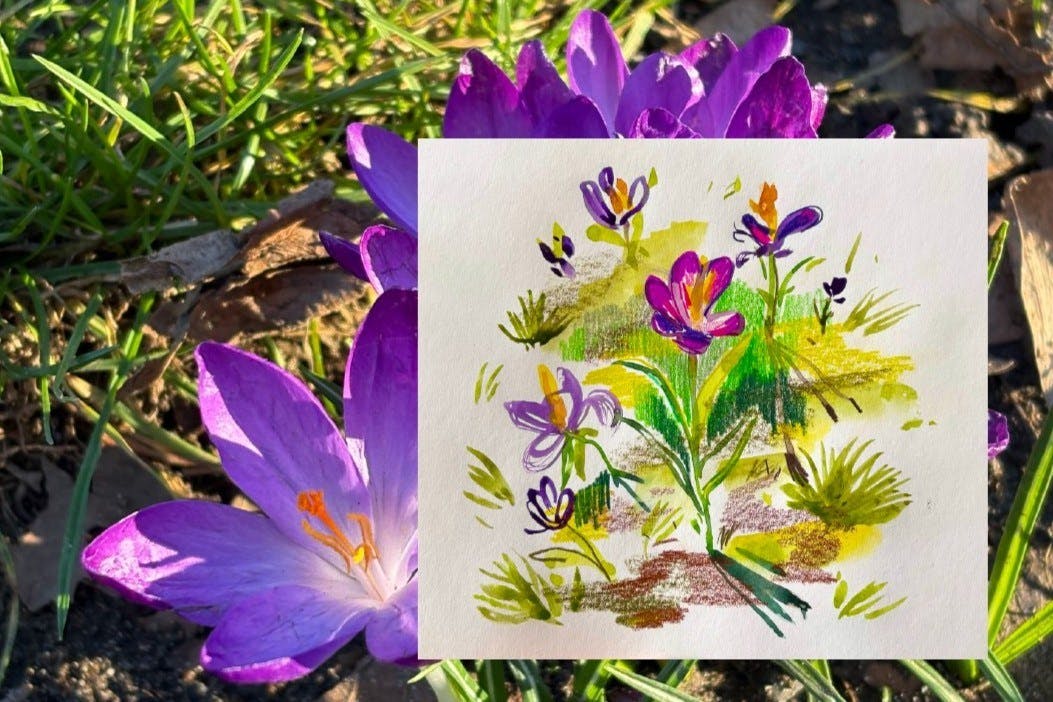 Tekenen met aquarel in Den Botaniek