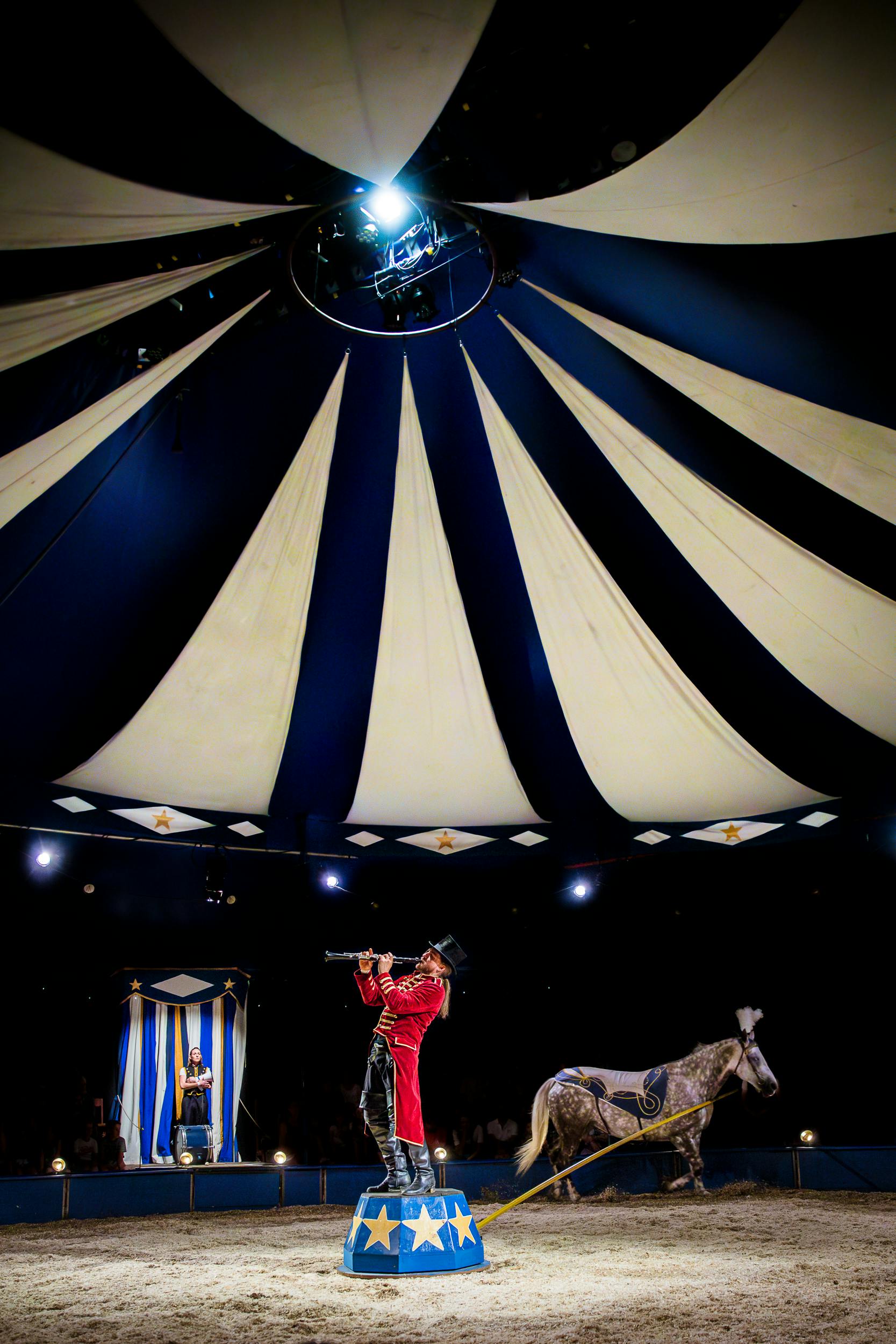 Circustent met muzikant in het midden