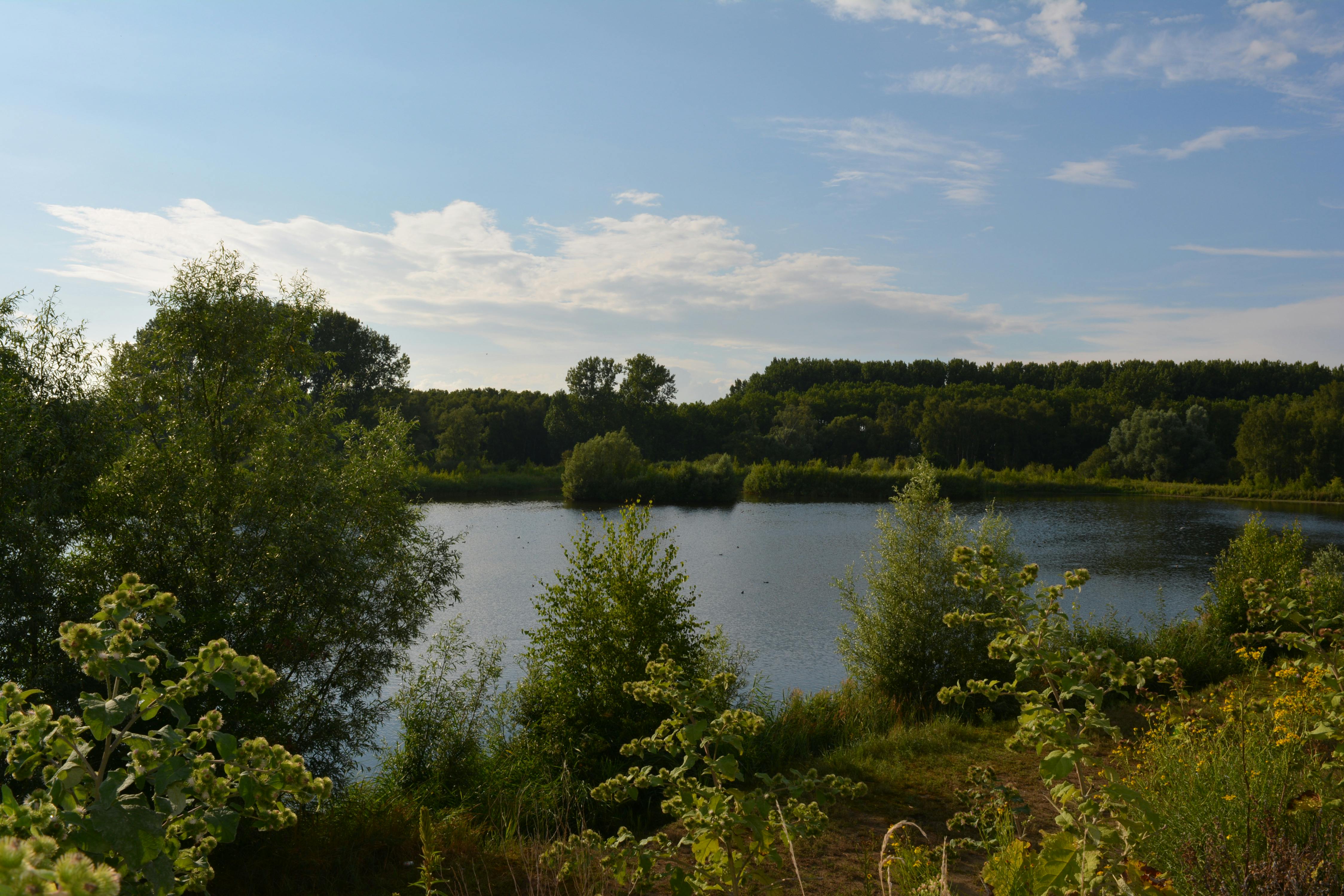 Het Rot waterplas