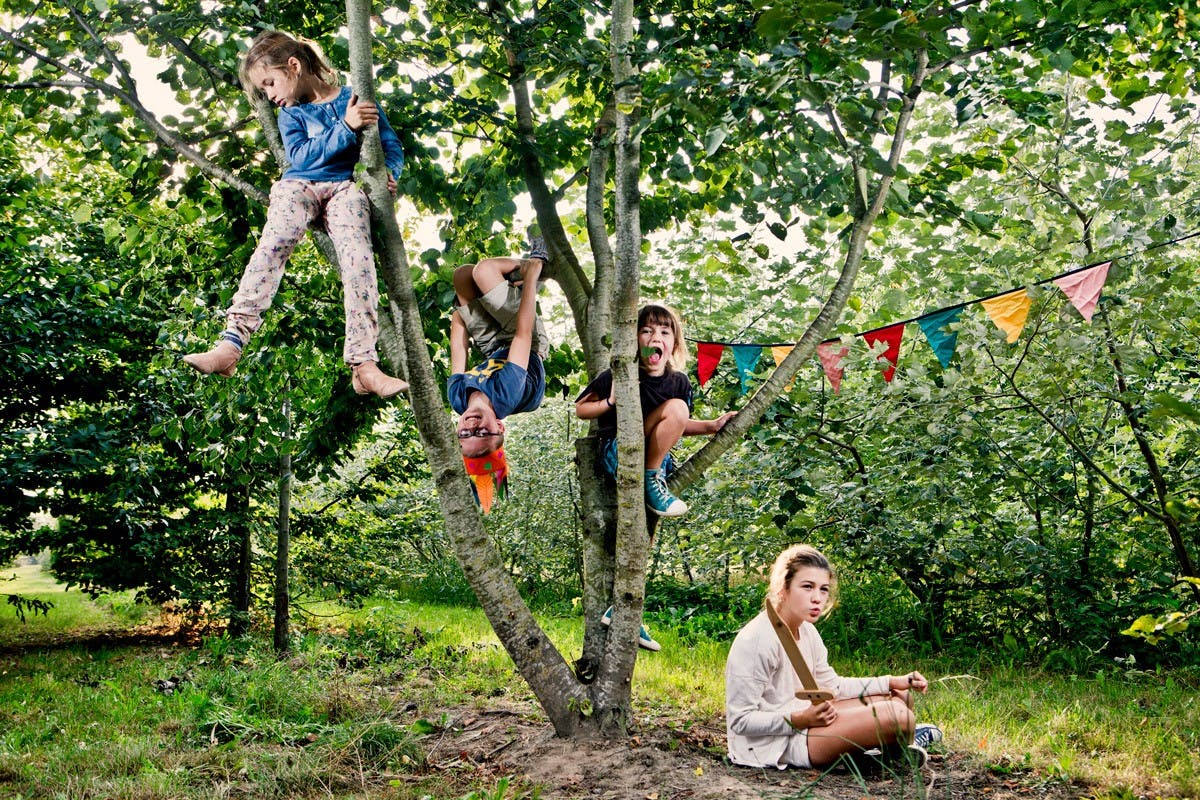 Kinderen in een speelboom