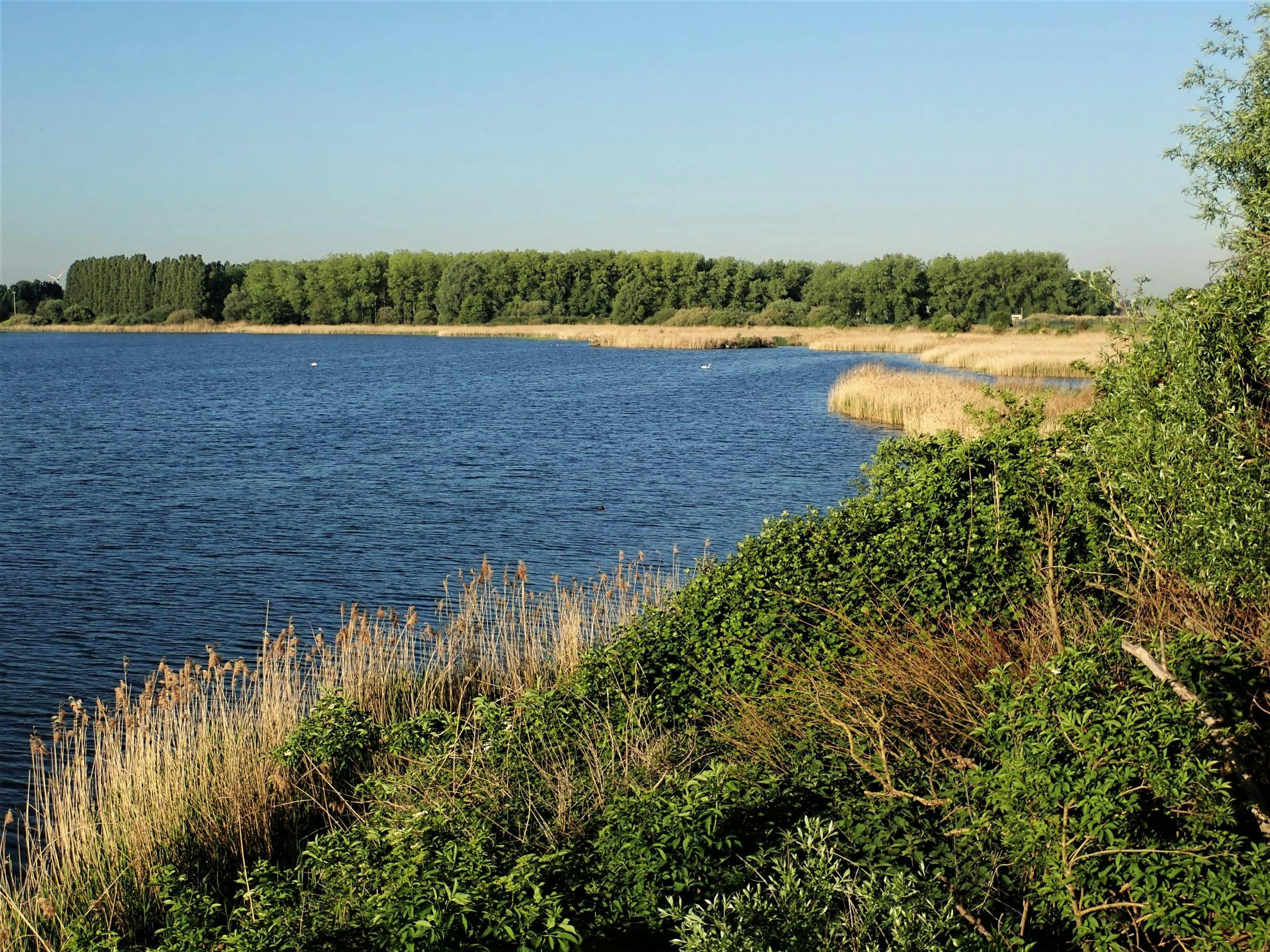 Natuurpunt