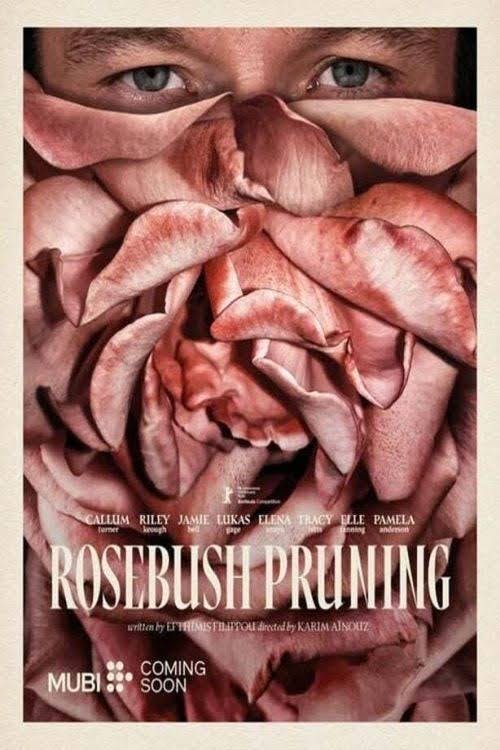 Rosebush Pruning